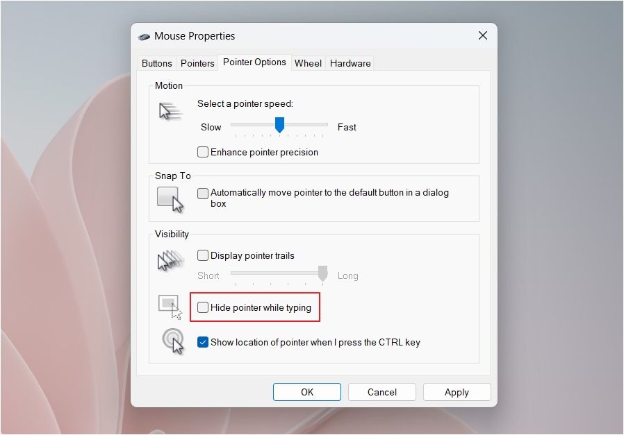 Hide Pointer While Typing option in the Mouse Properties window.