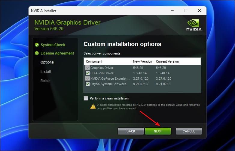 Nvidia graphics driver prompt for Custom Installation showing the Next button