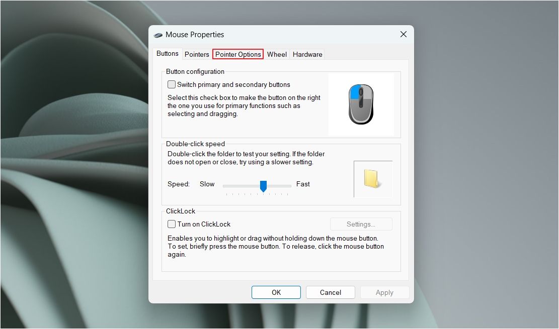 Pointer Options tab in the Mouse Properties window.