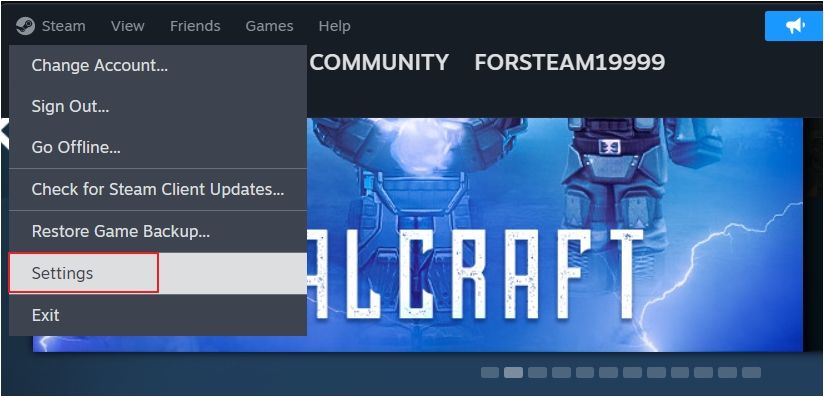 Settings option in the Steam client.