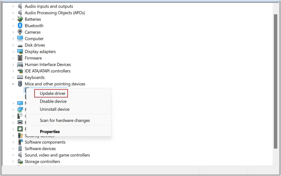 Update Driver option in the Device Manager.