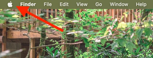 Click the Apple icon in the top-left corner of your Mac's screen