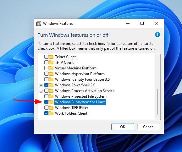 WSL feature being turned on in Windows 11.