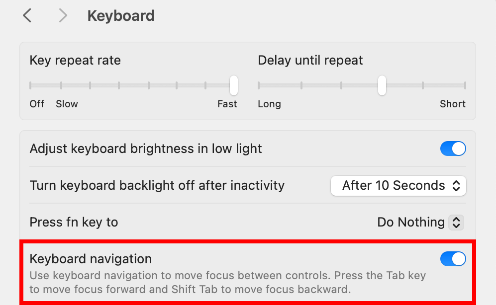 macOS System Settings with the Keyboard Navigation feature enabled.