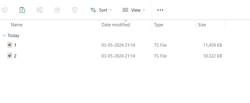 TS Files in the Downloads folder.